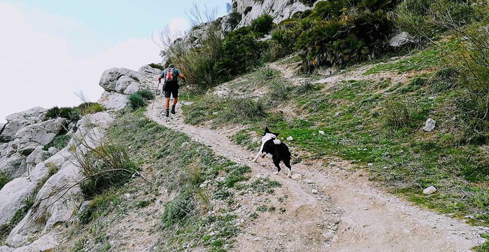 Things to do el chorro malaga activity holidays local activities malaga el chorro
